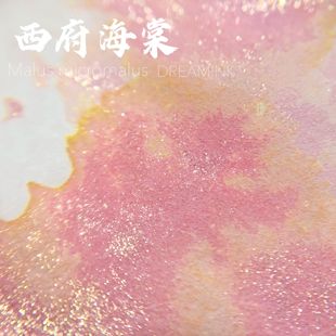嗲嗲粉紫黄层析渐变墨水金粉彩墨手账 DREAMINK·西府海棠20ml