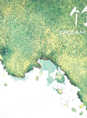 ◆DREAMINK·竹20ml◆气质这块拿捏了 金粉彩墨手账绘画水满包邮