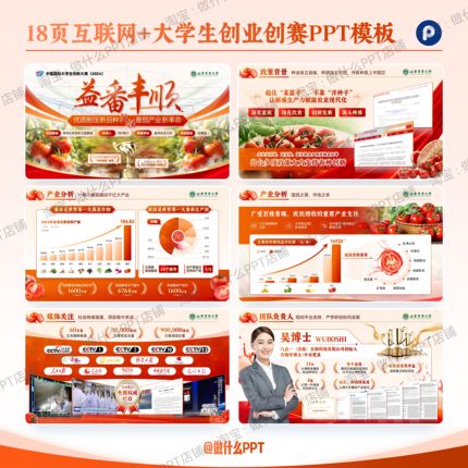 18页互联网+大学生乡村振兴创业创赛PPT模板