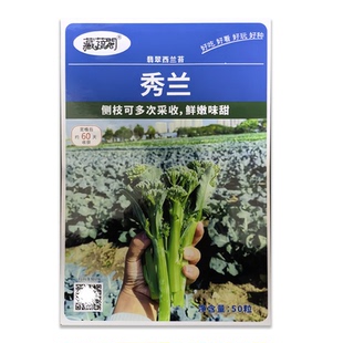 翡翠西蓝苔种子洋芥蓝西蓝花苔阳台盆栽春秋季蔬菜种籽爸爸是木匠