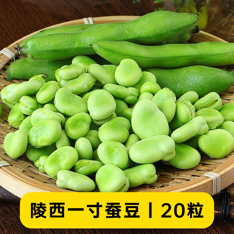 陵西一寸蚕豆种子家庭蔬菜种籽高产耐寒绿心蚕豆罗汉豆爸爸是木匠
