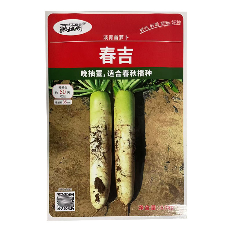 春吉萝卜种子青首白萝卜