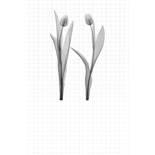 gykp7635高级感森系唯美插画ins极简约贺卡空白迷你小卡片留言卡