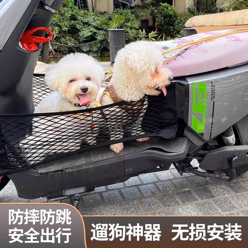 狗狗坐电动车外出神器带狗狗踏板宠物筐前置电瓶车篮子自行车载狗