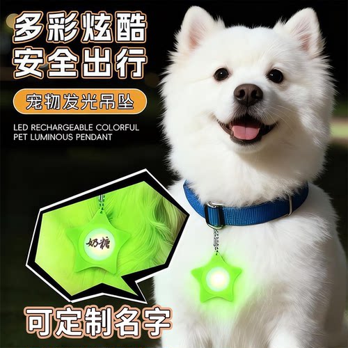 狗狗夜遛防丢发光挂坠