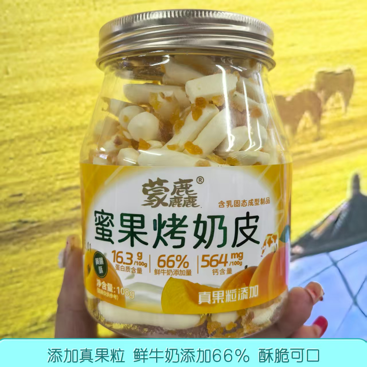 蒙小言蒙麋蜜果烤奶皮【新日期】