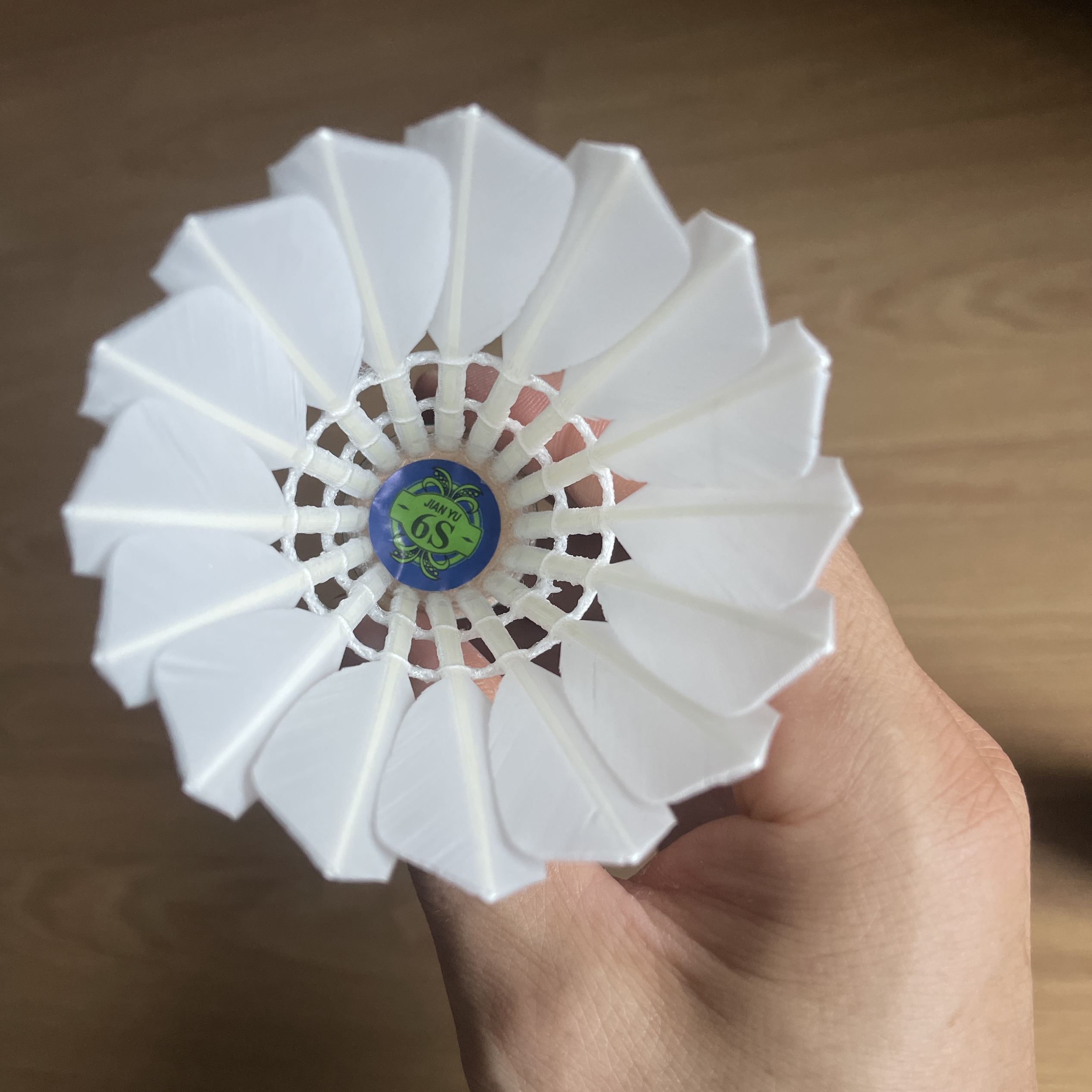 剑羽6S鹚鸪鸭中方毛飞行稳定耐打强批量价格美丽