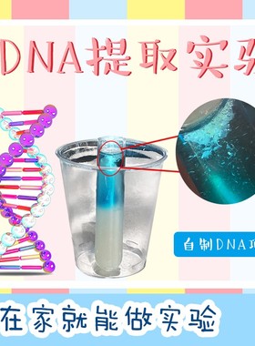 stem创客科技小制作玩具套装水果DNA项链提取生物科学实验diy材料