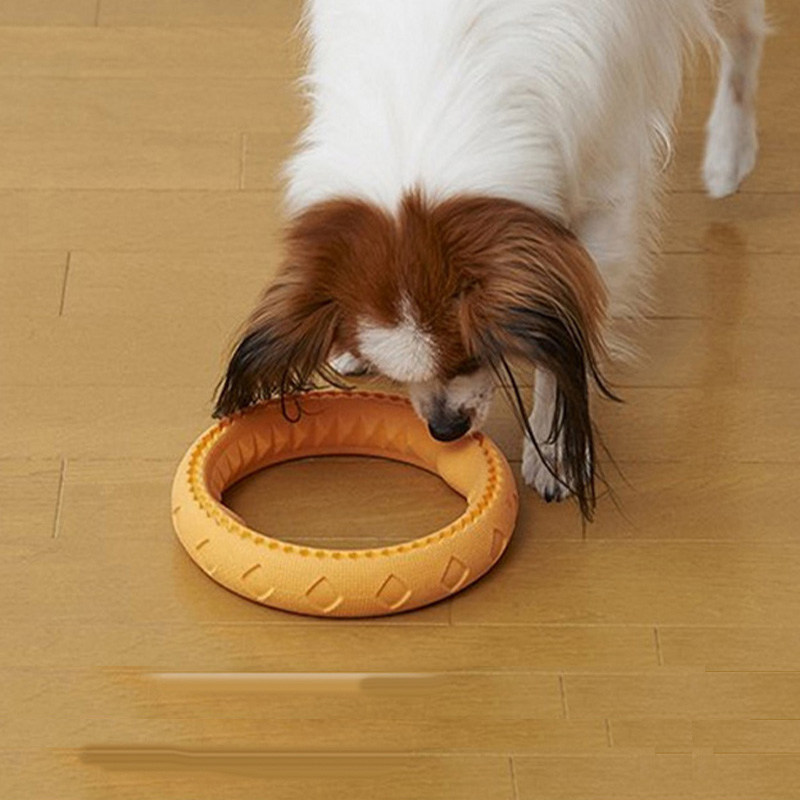 IVPETS爱蓓诗橡胶圈玩具狗狗玩具磨牙玩具洁齿玩具宠物玩具互动