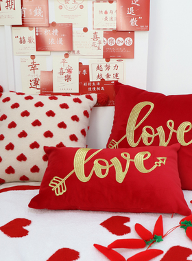 新年限定本命年红色兔子抱枕套情人节婚庆爱心方枕腰靠结婚靠垫子