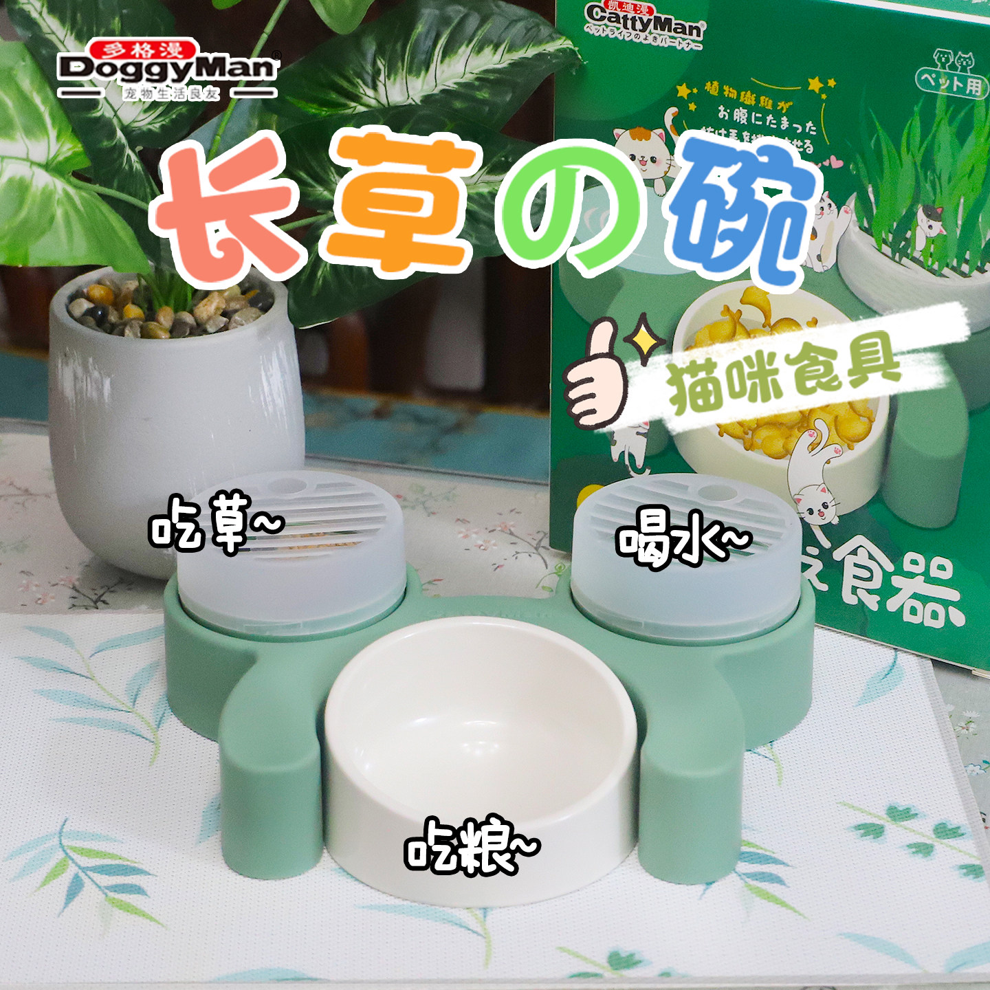 雌毛球-长草的碗 日本多格漫DoggyMan猫咪碗多功能猫饮水进食猫碗