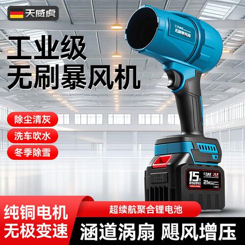 工业大功率鼓风机锂电强力吹风机 福州市TOWOHO天威虎