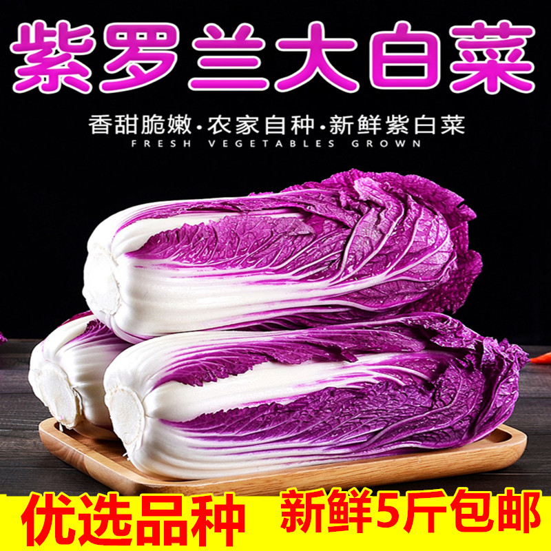 新鲜紫白菜紫罗兰大白菜新鲜农家紫色包心黄芽菜当季 蔬菜包邮,水产肉类/新鲜蔬果/熟食,其它,淘宝优惠券,粉丝福利购,淘宝优惠卷