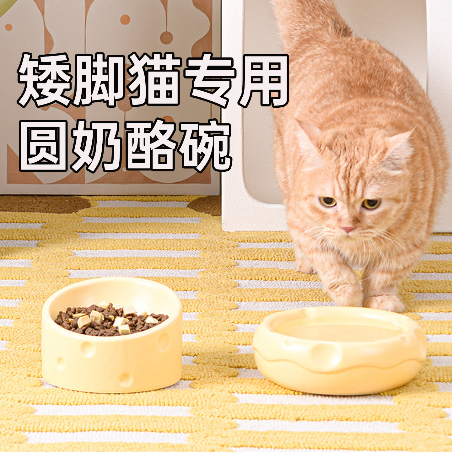 矮脚猫专用陶瓷猫碗喝水盆亲子杯斜口甜甜圈平口圆形奶酪2025新款,宠物/宠物食品及用品,猫狗碗/慢食碗,淘宝优惠券,粉丝福利购,淘宝优惠卷