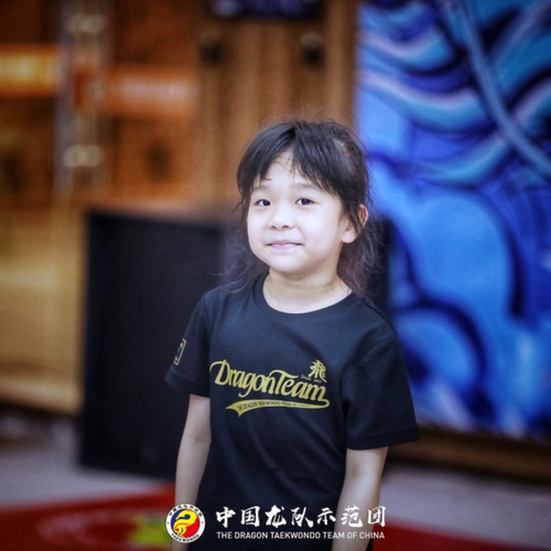 龙拳三双截龙 中国龙队跆拳道示范团 训练半袖 龙拳小子 黑色