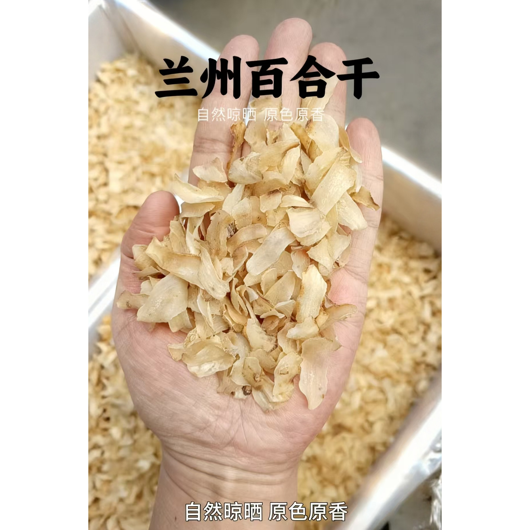 兰州甜百合百合无硫熏百合干百合干甜糯兰州无硫百合干小片片