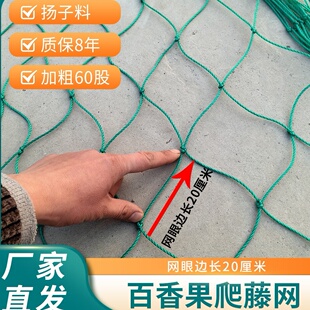 爬藤网百香果葡萄园植物爬藤种植网大棚网瓜蒌瓜果爬藤