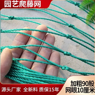 爬藤网葡萄网百香果网鱼塘网吊瓜网大棚网种植网