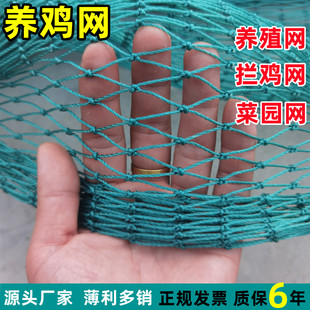 养鸡网尼龙网围栏网菜园网塑料网鸡网塑料网户外