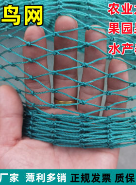 防鸟网天网养殖天网尼龙网果园
