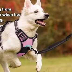 前牵引胸背狗狗牵引绳宠物胸背尼龙狗绳大型犬胸背带宠物用品