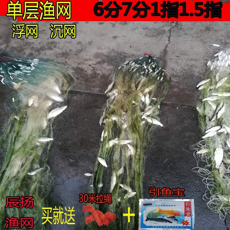 进口渔网白条单层鱼网沉网餐鱼网丝网半指一指小鱼网粘网浮网加粗