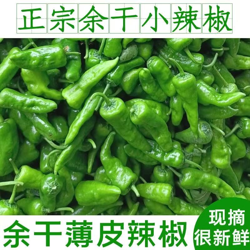 余干小辣椒新鲜江西特产现摘农家自种薄皮青椒土辣椒特辣微辣包邮
