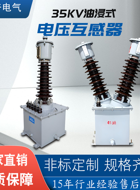 户外高压电压互感器油浸式保护测量PT取电用JDJ2 JDJJ2-35KV