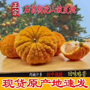 石首桃花山皱皮柑狮头柑丑柑当季新鲜孕妇水果醒酒桔子5斤包邮