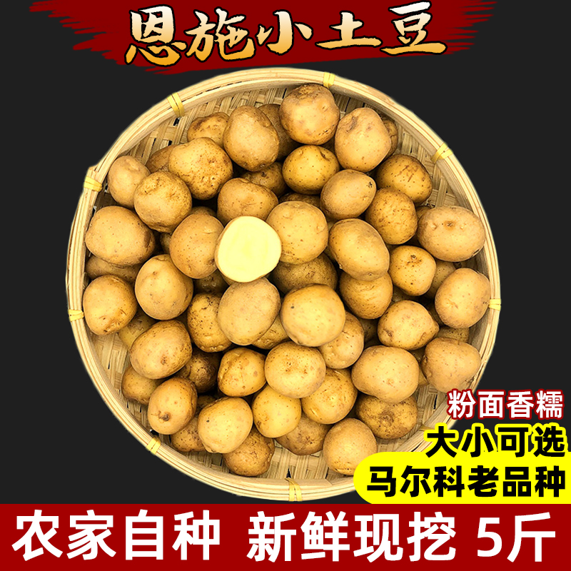 恩施小土豆马尔科老品种新鲜现挖