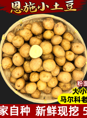 2026恩施农家自种新鲜小土豆高山富硒土壤黄心洋芋迷你马铃薯5斤