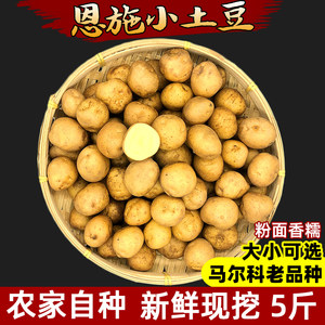 2026恩施农家自种新鲜小土豆高山富硒土壤黄心洋芋迷你马铃薯5斤