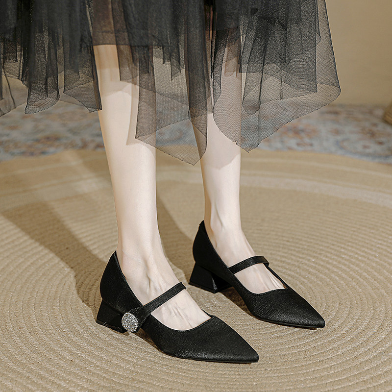 小香风法式尖头粗跟单鞋女2026年新款高跟鞋一字扣带水钻低跟3cm