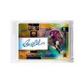 Dalu [Follow to Get Card Bricks]