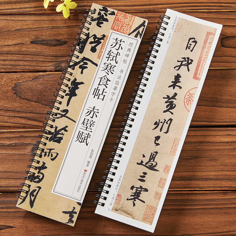 苏轼寒食帖赤壁赋 经典碑帖书法临摹字卡 行书毛笔书法字帖简体旁注原色原帖全文成人学生初学者基础入门近距离临摹字卡黑龙江美术