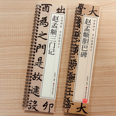 赵孟頫三门记楷书字帖全文收录经典碑帖赵孟頫胆巴碑字帖楷书毛笔书法字帖近距离临摹字卡原大版附简体旁注译文对照原帖赵孟頫字帖