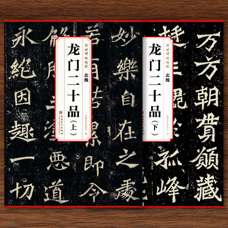 北魏 龙门二十品 上下册传世碑帖精粹高清简体旁注原碑原帖魏碑楷书书法毛笔字帖初学者入门临摹临帖练习教材古帖范本安徽美术