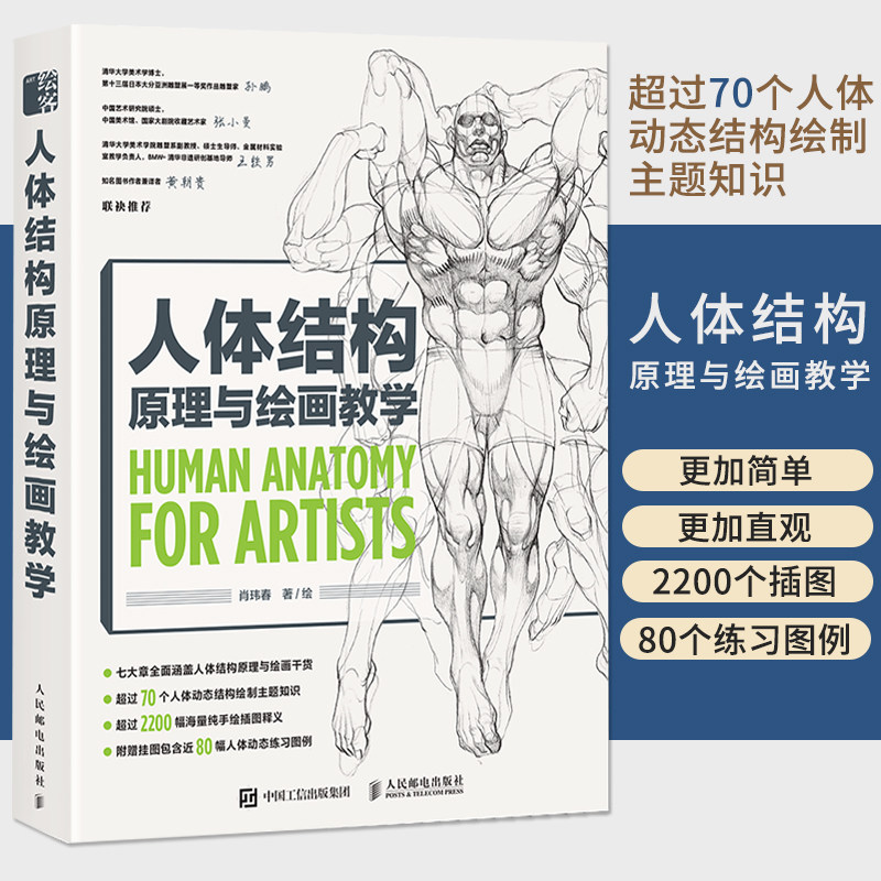 【正版书籍】画画的春哥人体结构原理与绘画教学 人体造型手绘技法教程零基础铅笔素描漫画伯里曼漫画教程入门自学临摹艺术册图片