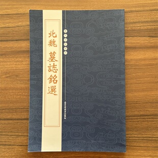 【残书】北魏墓志铭选历代碑帖精粹第二辑毛笔书法字帖元桢司马昞妻孟敬训元显隽崔敬异李璧元珽妻穆玉容美人董氏张玄