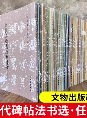 历代碑帖法书选颜真卿多宝塔颜勤礼碑曹全碑宋拓怀仁集王书圣教序欧阳询九成宫醴泉铭北魏元怀墓志张猛龙碑隋龙藏寺碑灵飞文物出版