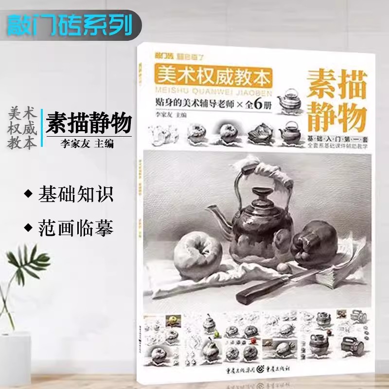 美术权威教本素描静物 敲门砖李家友零基础适用基础知识单个组合静物基础结构对明暗临摹范本美术绘画教材书籍