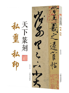天下篆刻 私玺 私印 篆书书法和篆刻结合 附印章繁体释文 书法印章印谱篆刻艺术入门工具书 中国清代名家印谱古印赏析临摹正版书籍