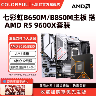 B650 7500F B850 机主板DDR5搭配R5 9600X 电竞AM5游戏台式 七彩虹