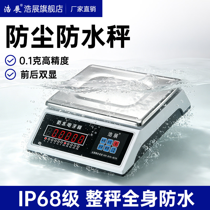 浩展全防水IP68称重电子秤