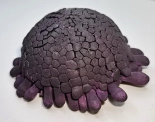 【精选】头盔海胆紫海胆壳国画唐卡紫色天然矿物颜料岩彩原料原矿