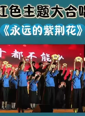 心中的紫荆花朗诵服装中小学生红歌演出服如愿爱国主题民国风服装
