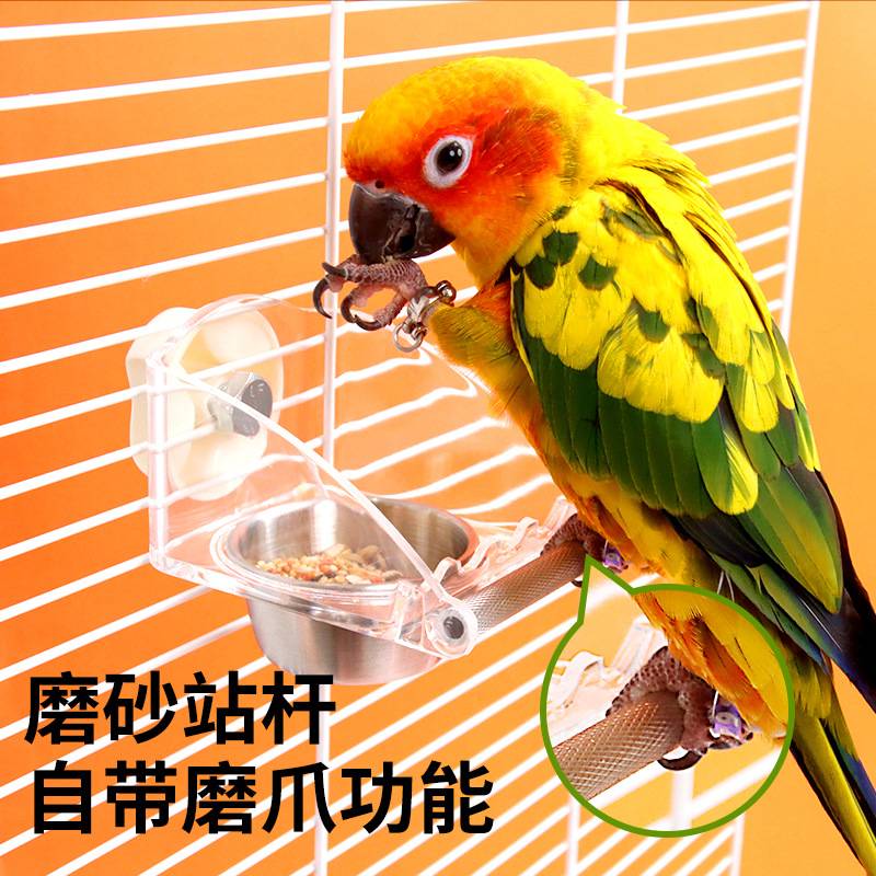 鹦鹉防溅鸟食盒内挂防撒喂水器压克力透明双碗不锈钢食槽盆带站杆