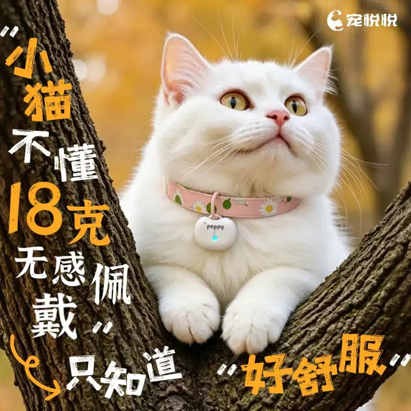 宠悦悦猫咪定位器宠物gps项圈狗防丢失追踪防水跟踪订位定仪器