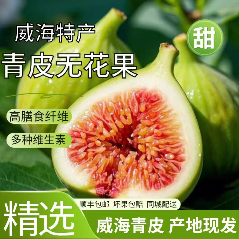威海青皮无花果【新鲜树采】新鲜青皮无花果产地现采现发