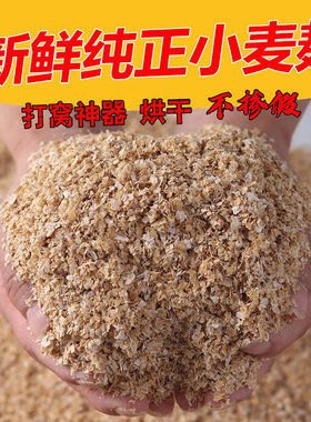 麦麸饲料原料小麦麸皮喂鸡鸭鹅猪吃新鲜麦糠钓鱼打窝饵料热敷包邮
